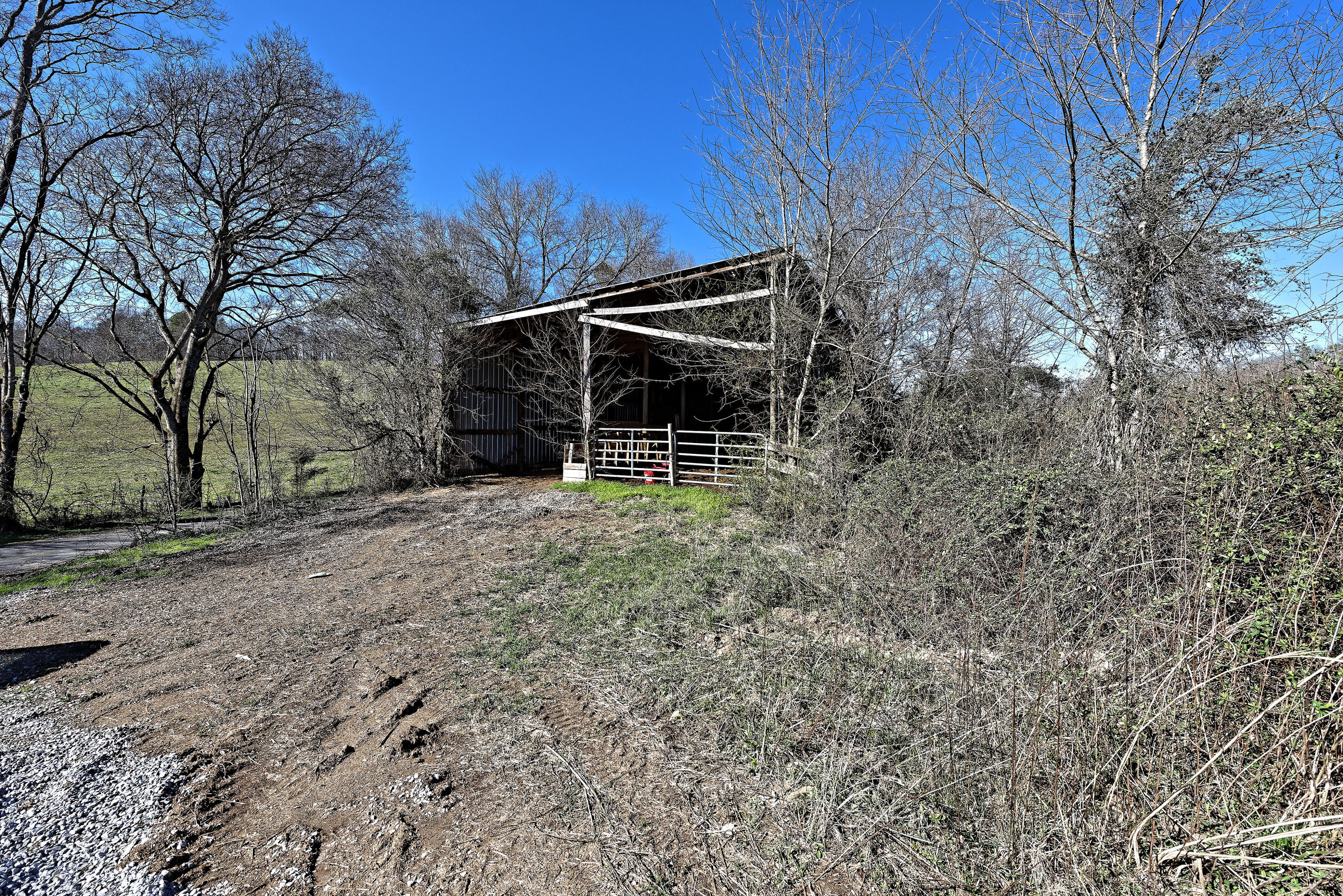 147 Frank Bend Lane Rutledge, TN 37861 - Photo 40 of 40 D810_3162_D