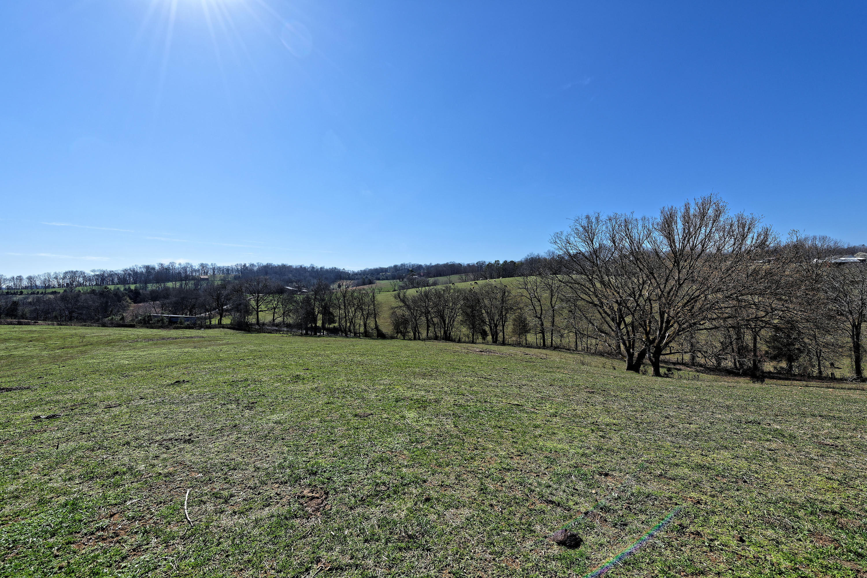 D810_3113_D