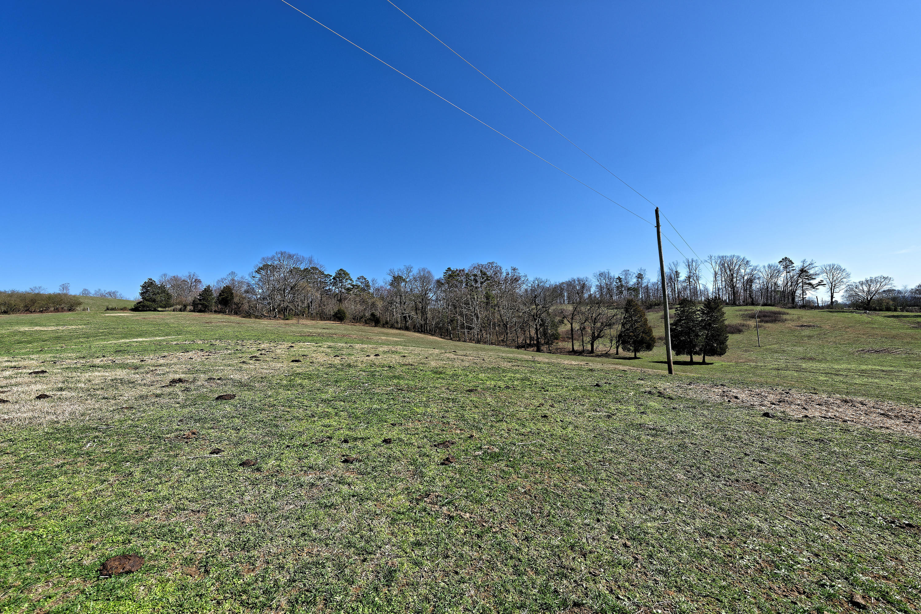 147 Frank Bend Lane Rutledge, TN 37861 - Photo 8 of 40 D810_3114_D
