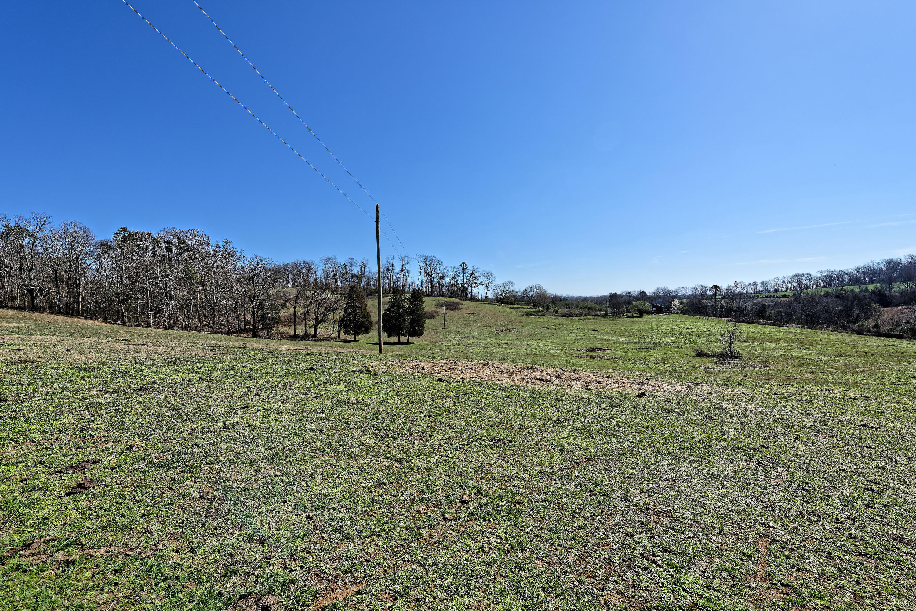 147 Frank Bend Lane Rutledge, TN 37861 - Photo 9 of 40 D810_3115_D