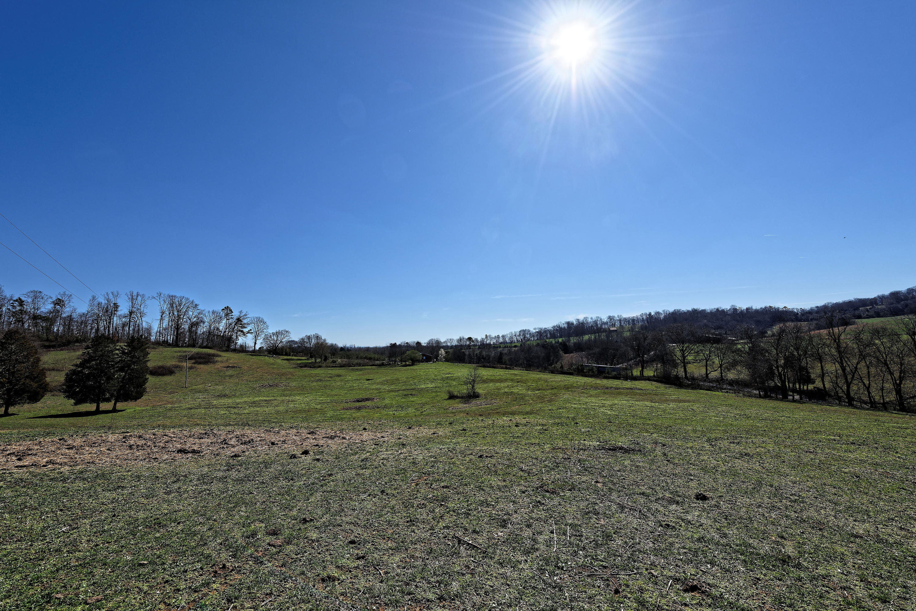 147 Frank Bend Lane Rutledge, TN 37861 - Photo 10 of 40 D810_3118_D