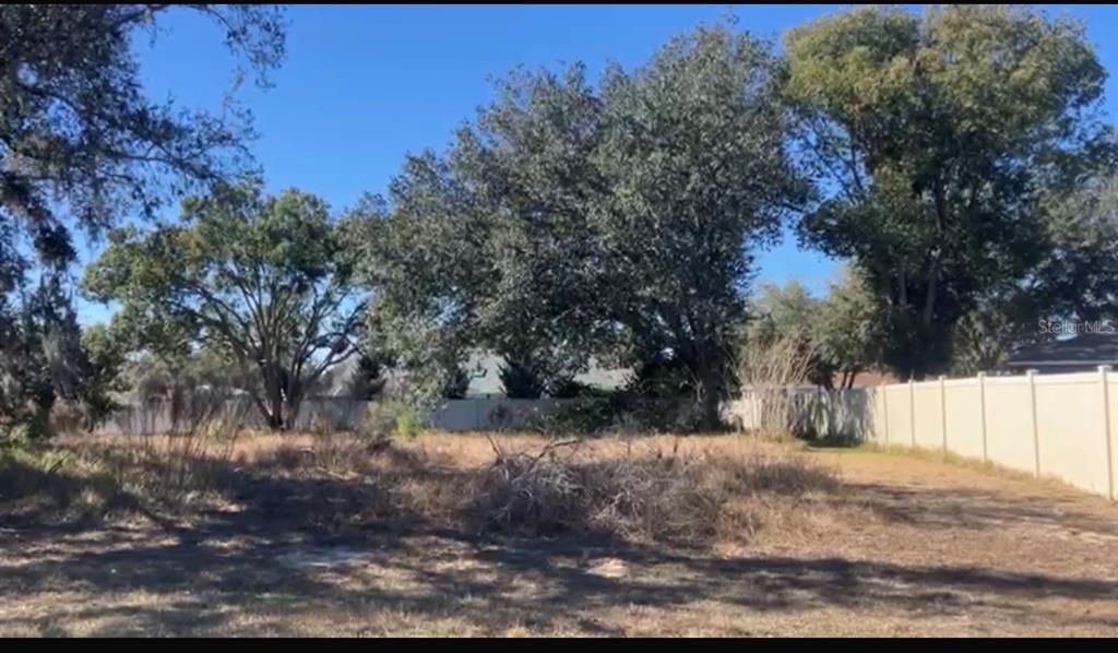 a view of a yard with trees