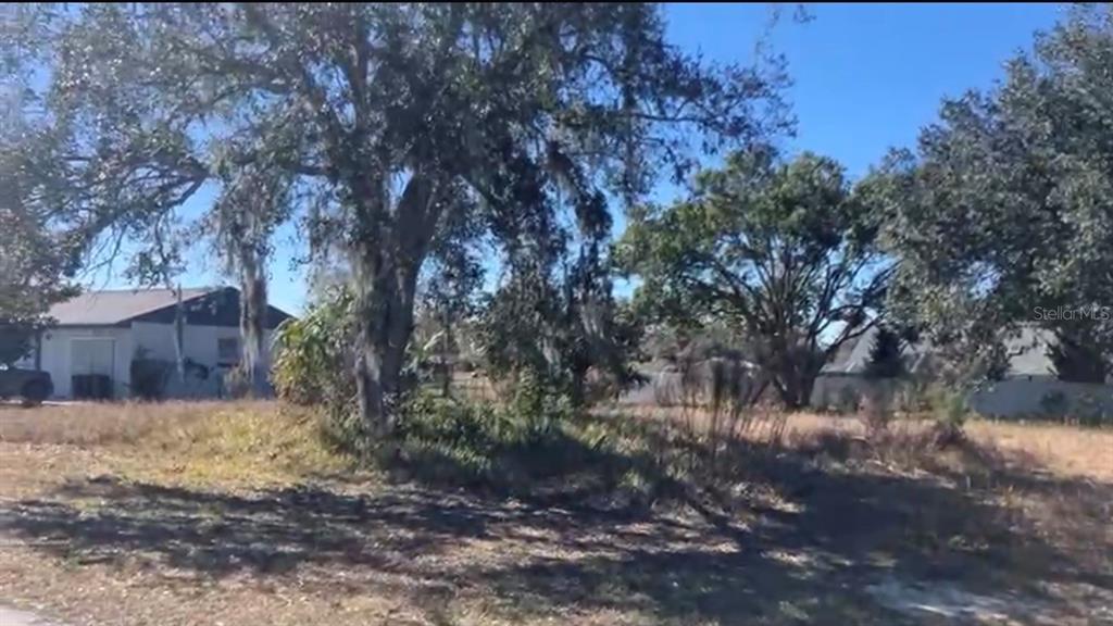 Tbd Southwest 161st Street Ocala, FL 34473 - Photo 3 of 3 a view of a yard with large trees