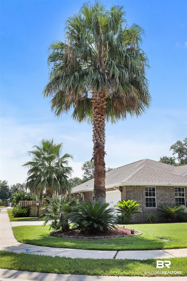 7253 Raintree Lane Gulf Shores, AL 36542 - Photo 28 of 28