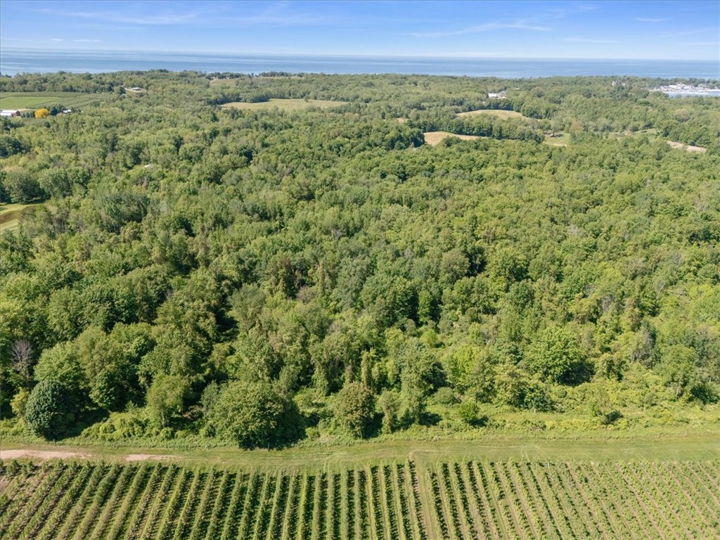 Geneva Road Sodus, NY 14551 - Photo 29 of 34