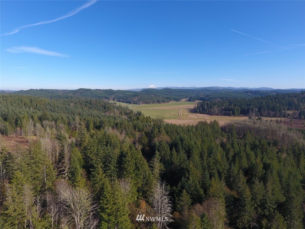 1901 Little Hanaford Road, Unit A Centralia, WA 98531 - Photo 24 of 25 Gallery Image 24
