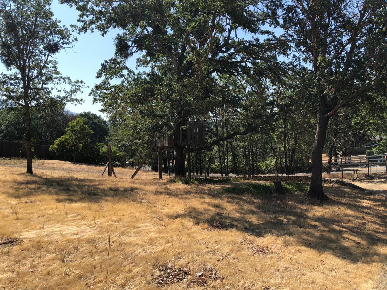 881 Three Pines Road Grants Pass, OR 97526 - Photo 7 of 15 a view of a yard with a tree
