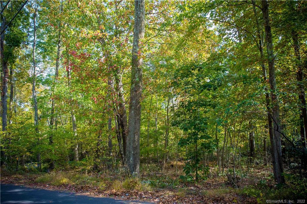0 Plains Road Haddam, CT 06438 - Photo 1 of 1 Gallery Image 1