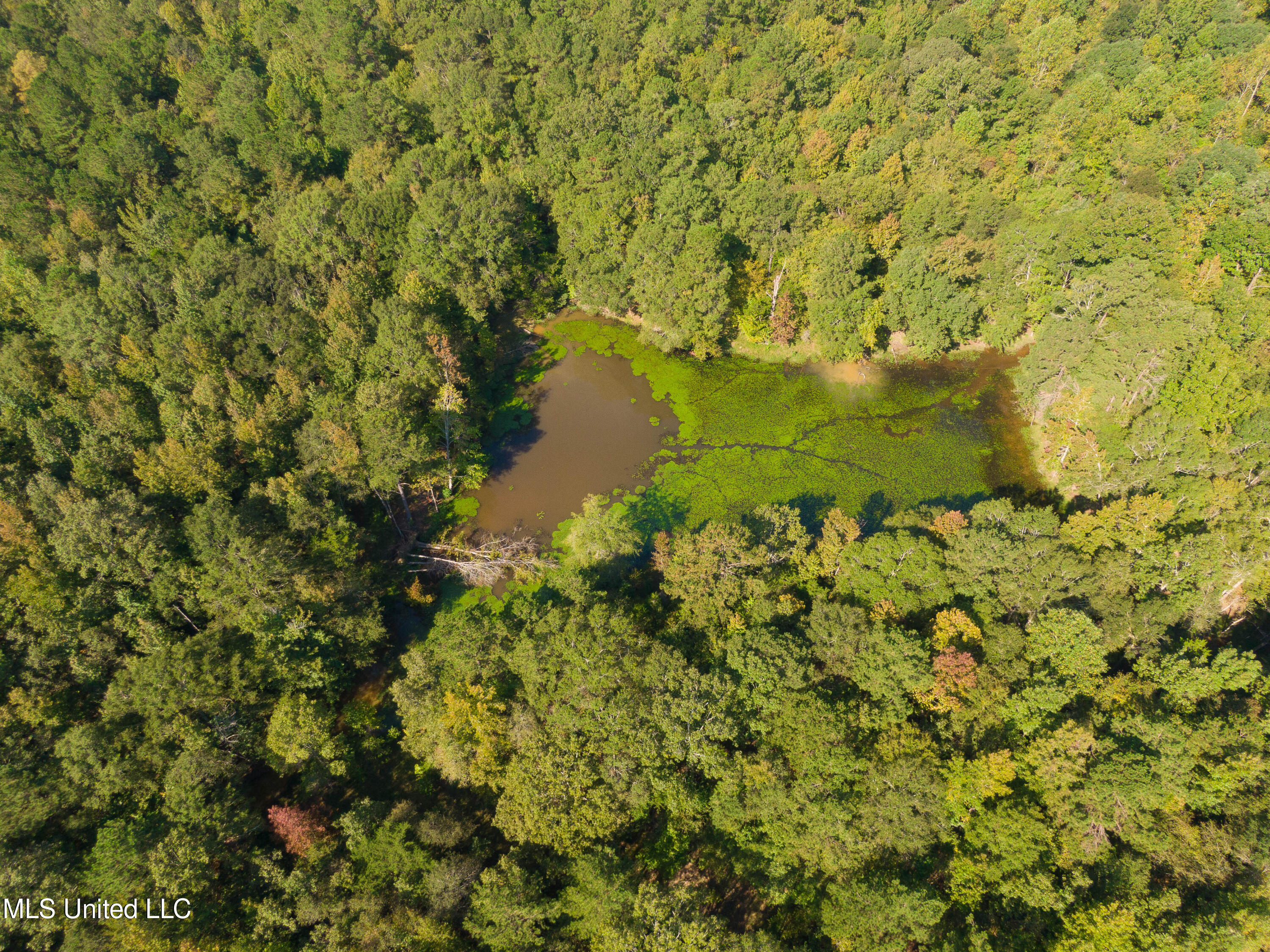 0 Ernie Martin Road Utica, MS 39175 - Photo 12 of 22 Ernie Martin Road