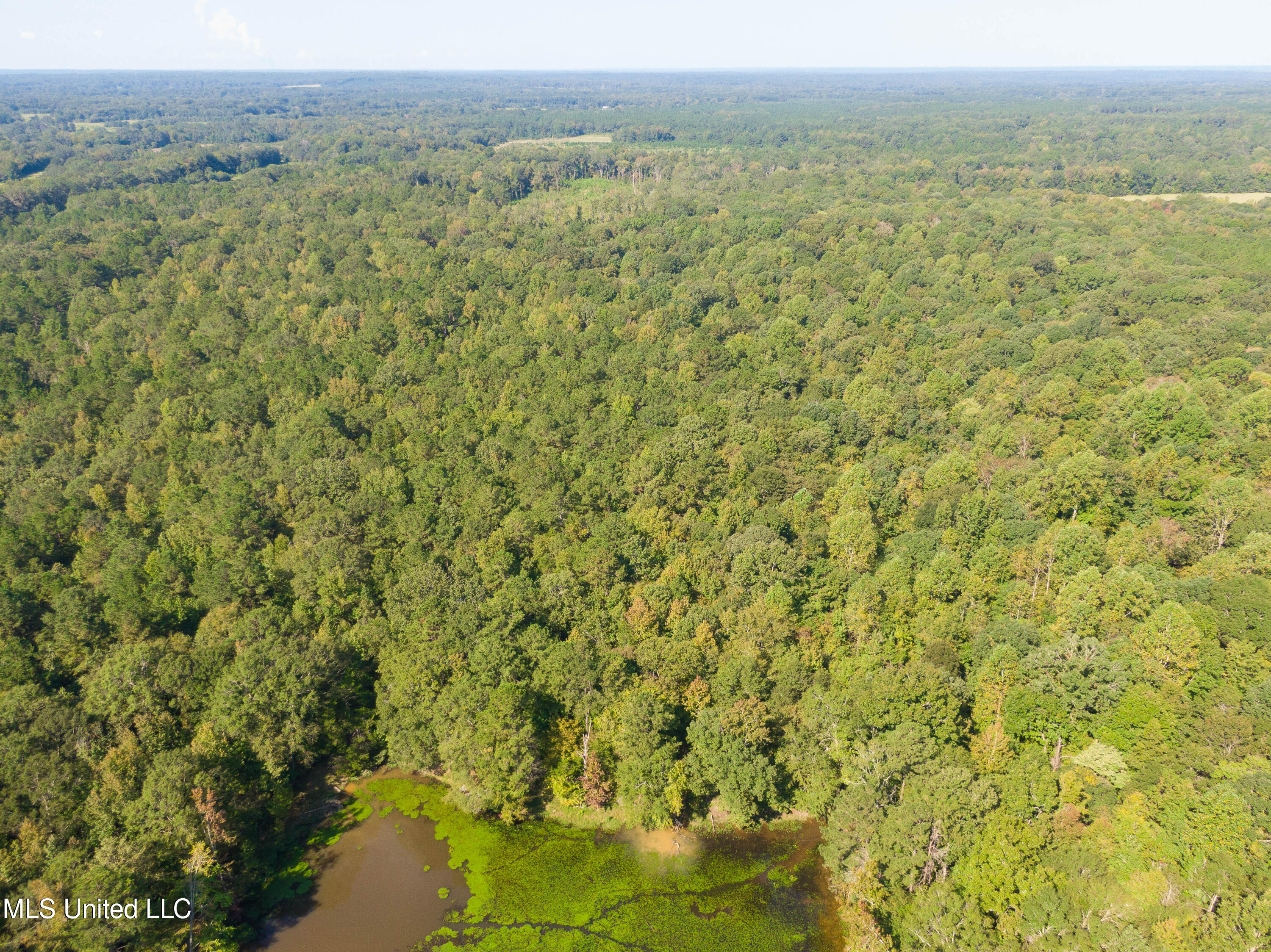 0 Ernie Martin Road Utica, MS 39175 - Photo 13 of 22 Ernie Martin Road