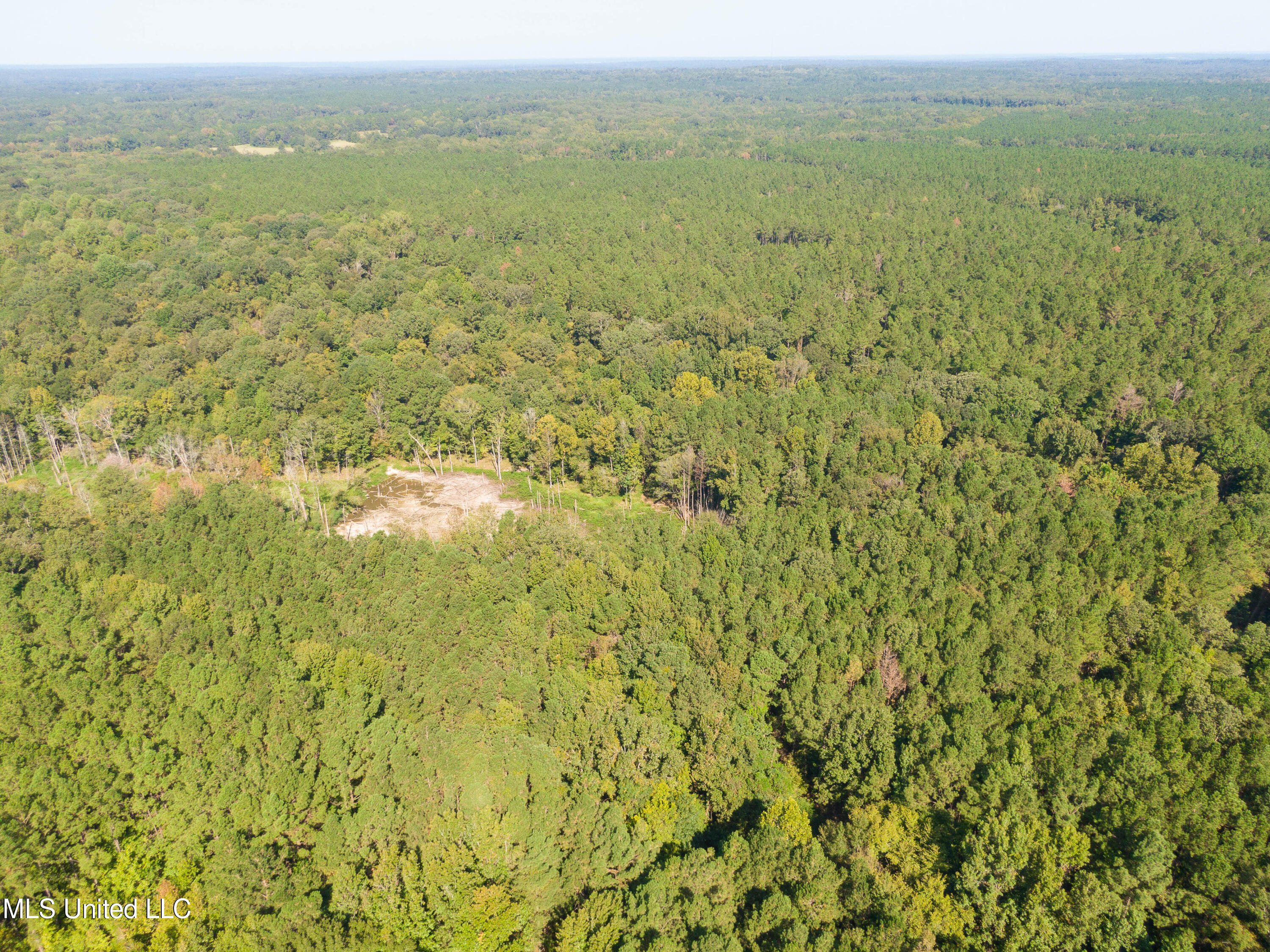 0 Ernie Martin Road Utica, MS 39175 - Photo 17 of 22 Ernie Martin Road
