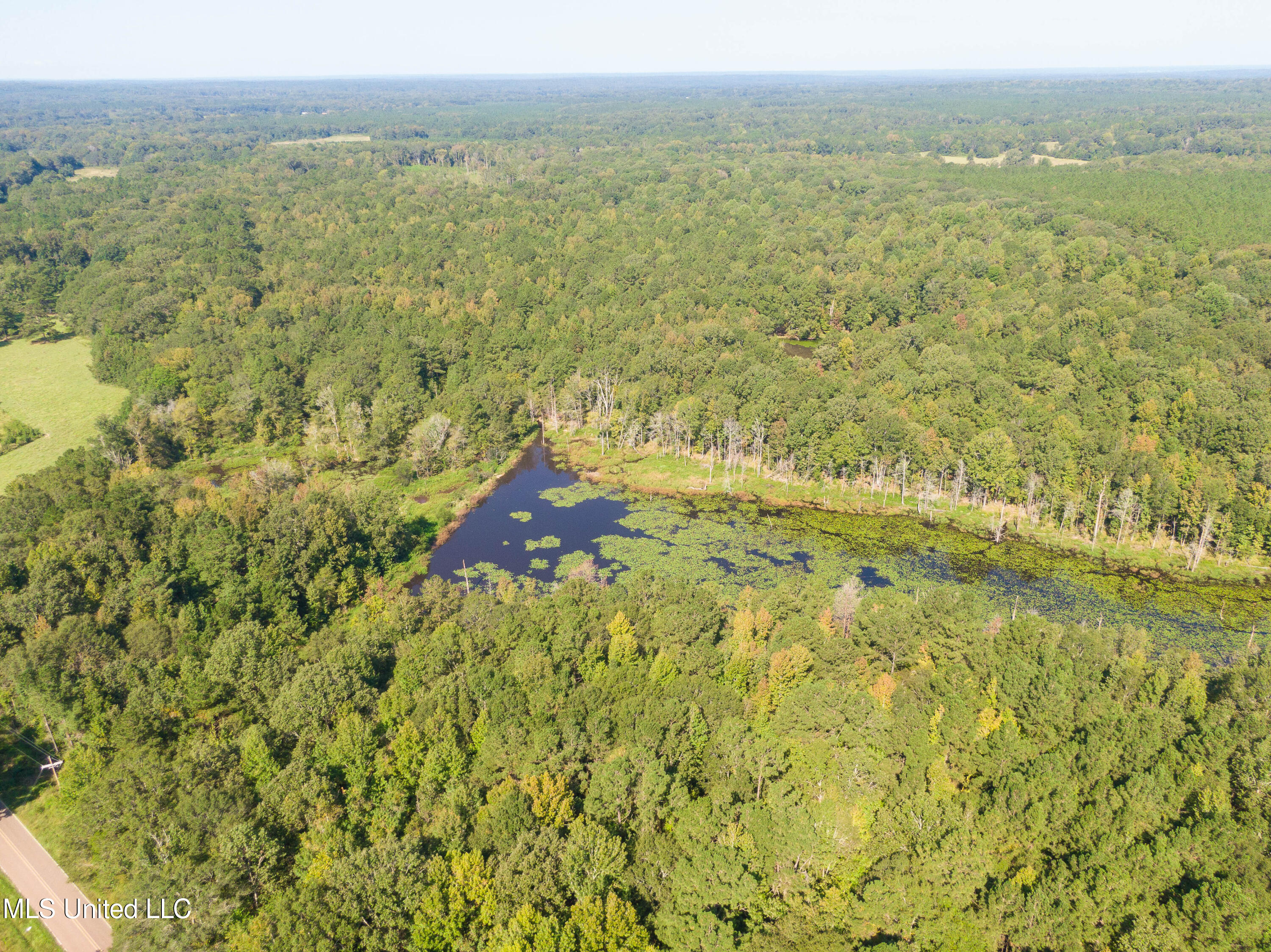 0 Ernie Martin Road Utica, MS 39175 - Photo 19 of 22 Ernie Martin Road