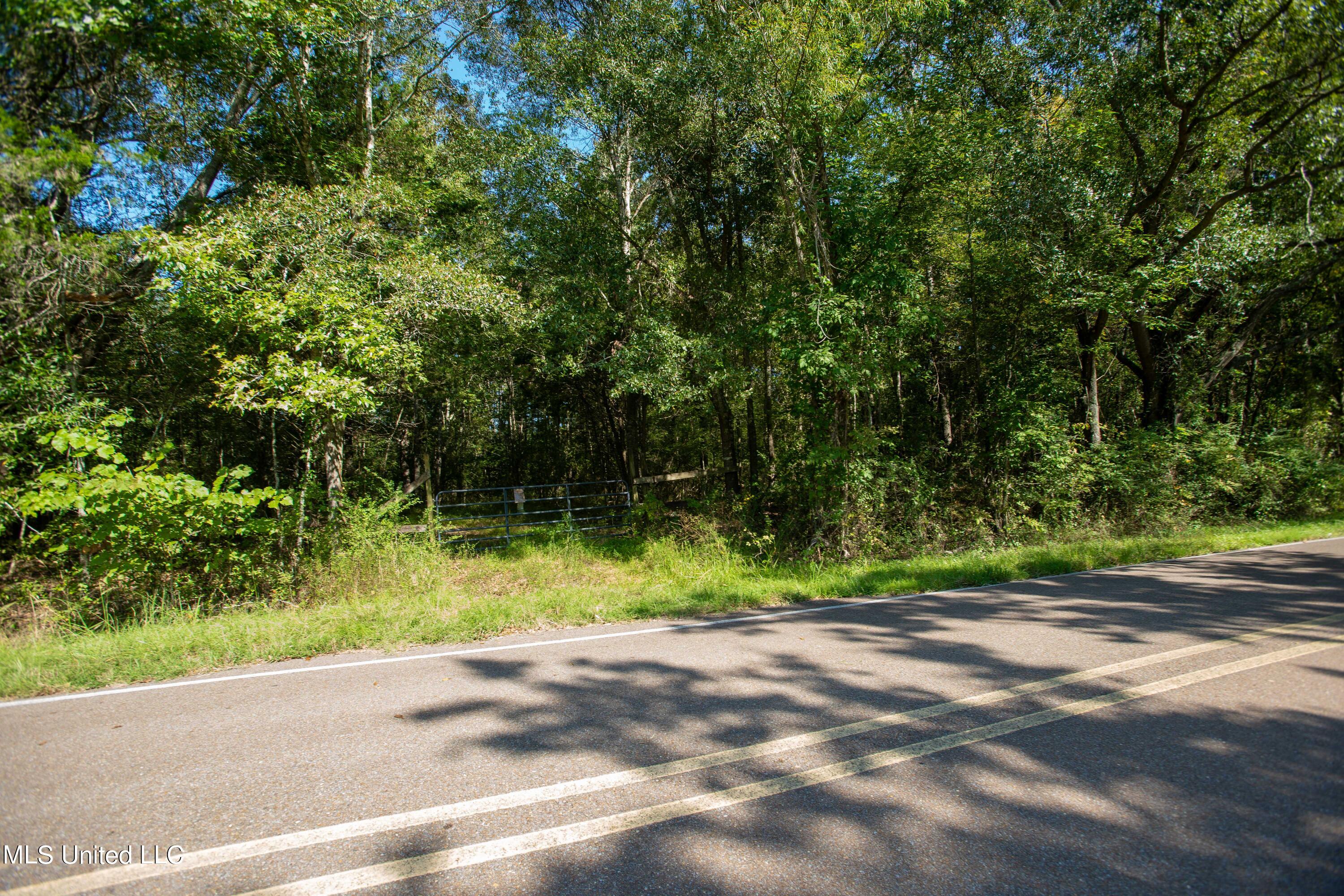 0 Ernie Martin Road Utica, MS 39175 - Photo 2 of 22 Ernie Martin Road
