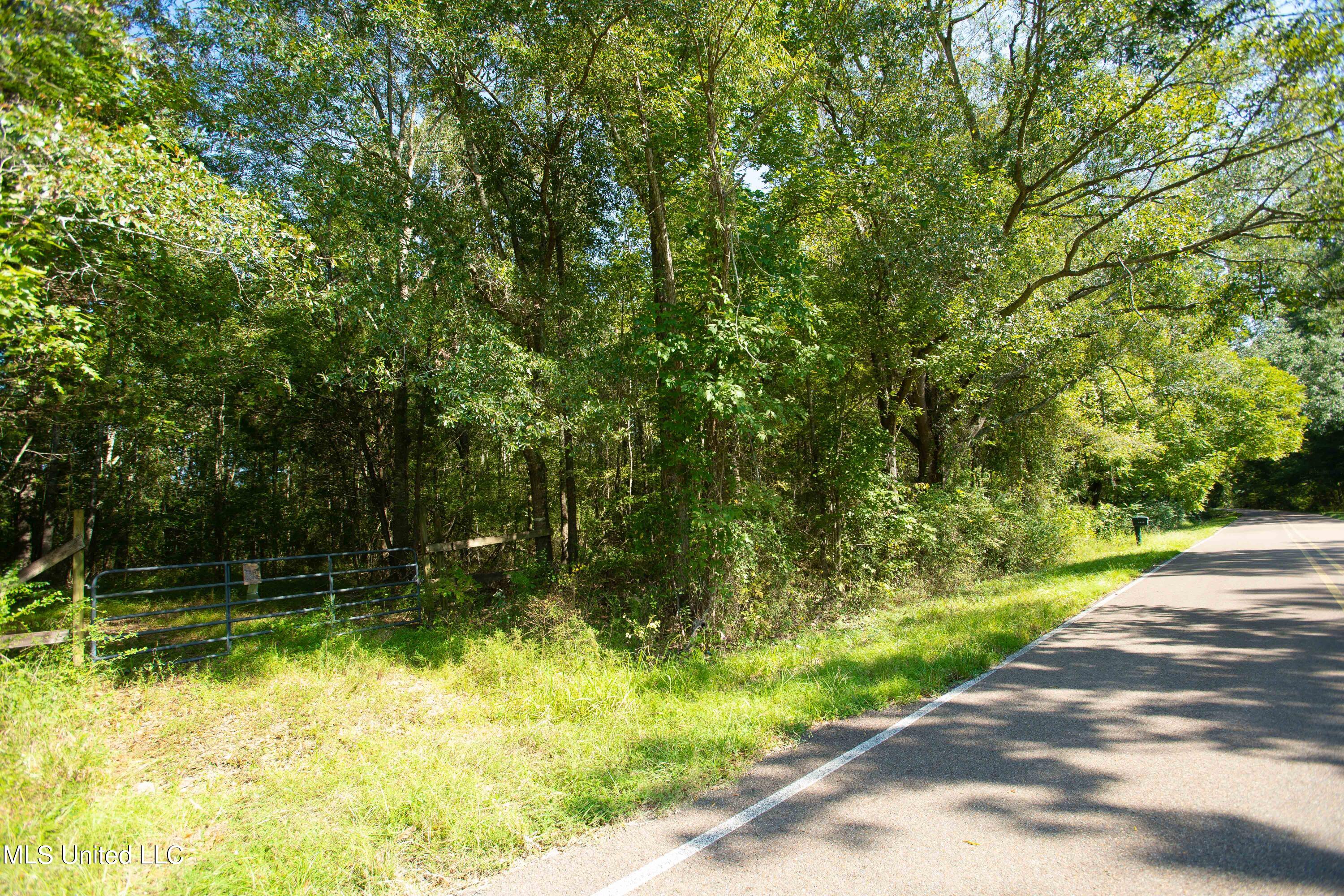 0 Ernie Martin Road Utica, MS 39175 - Photo 3 of 22 Ernie Martin Road