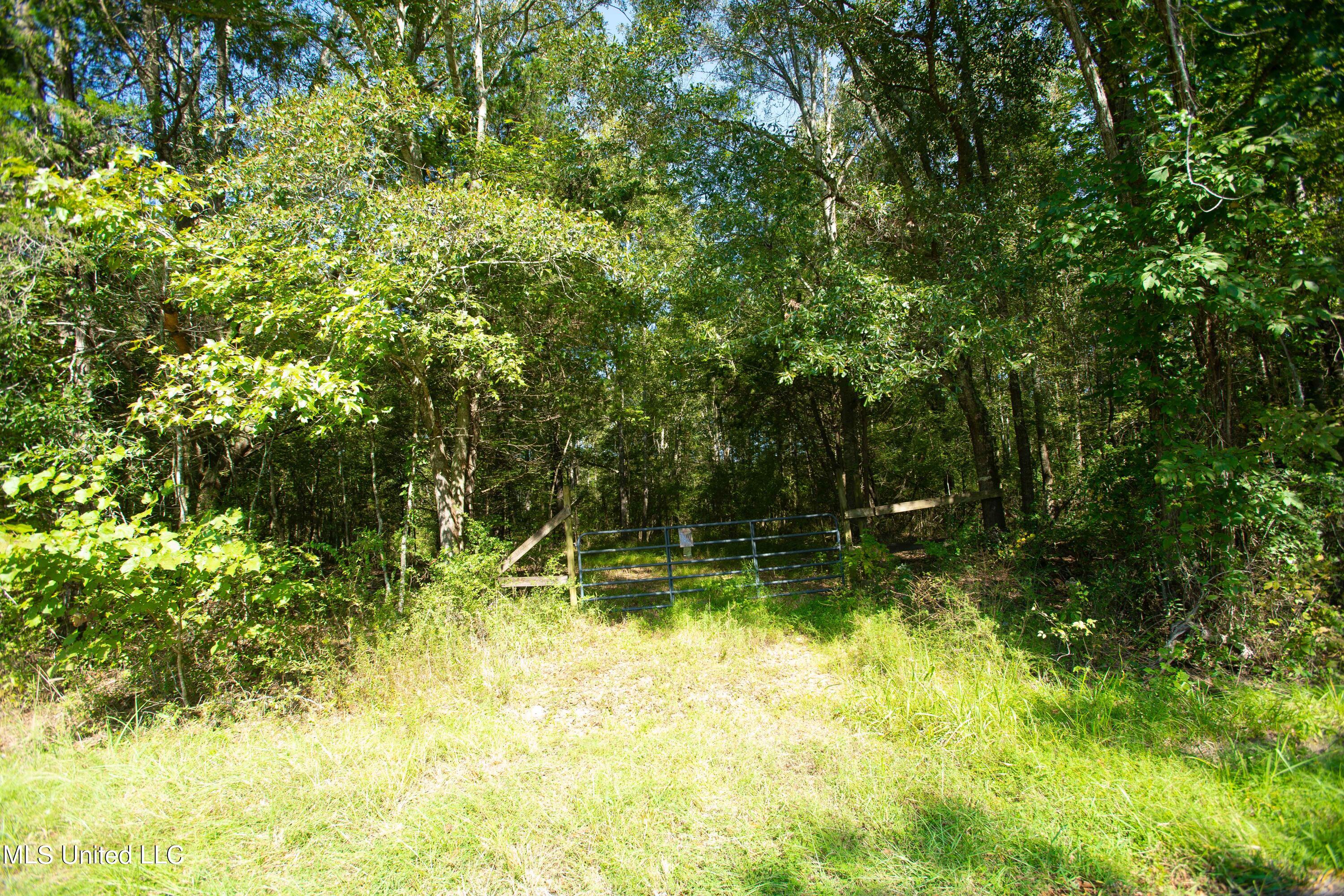 0 Ernie Martin Road Utica, MS 39175 - Photo 4 of 22 Ernie Martin Road