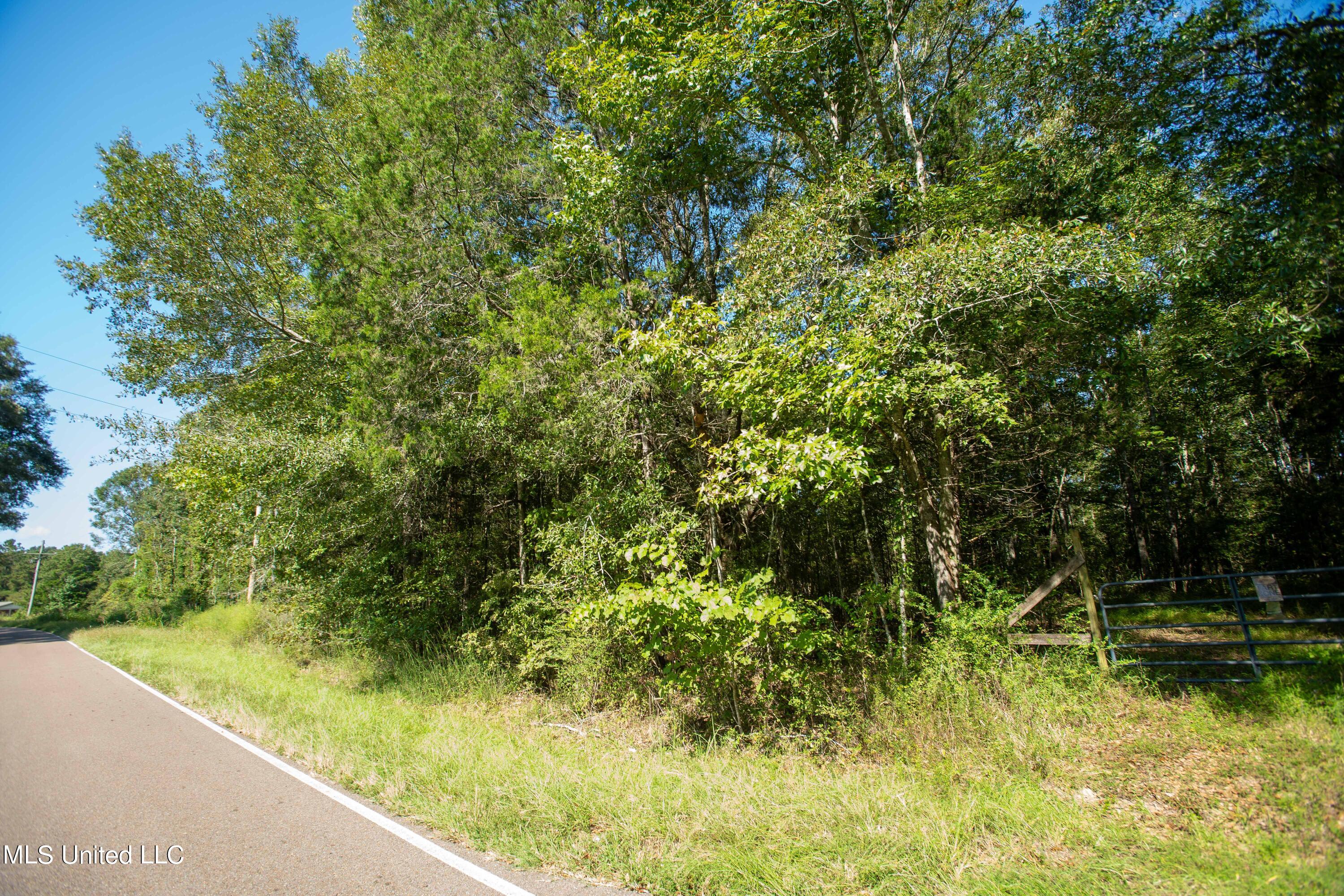 0 Ernie Martin Road Utica, MS 39175 - Photo 5 of 22 Ernie Martin Road
