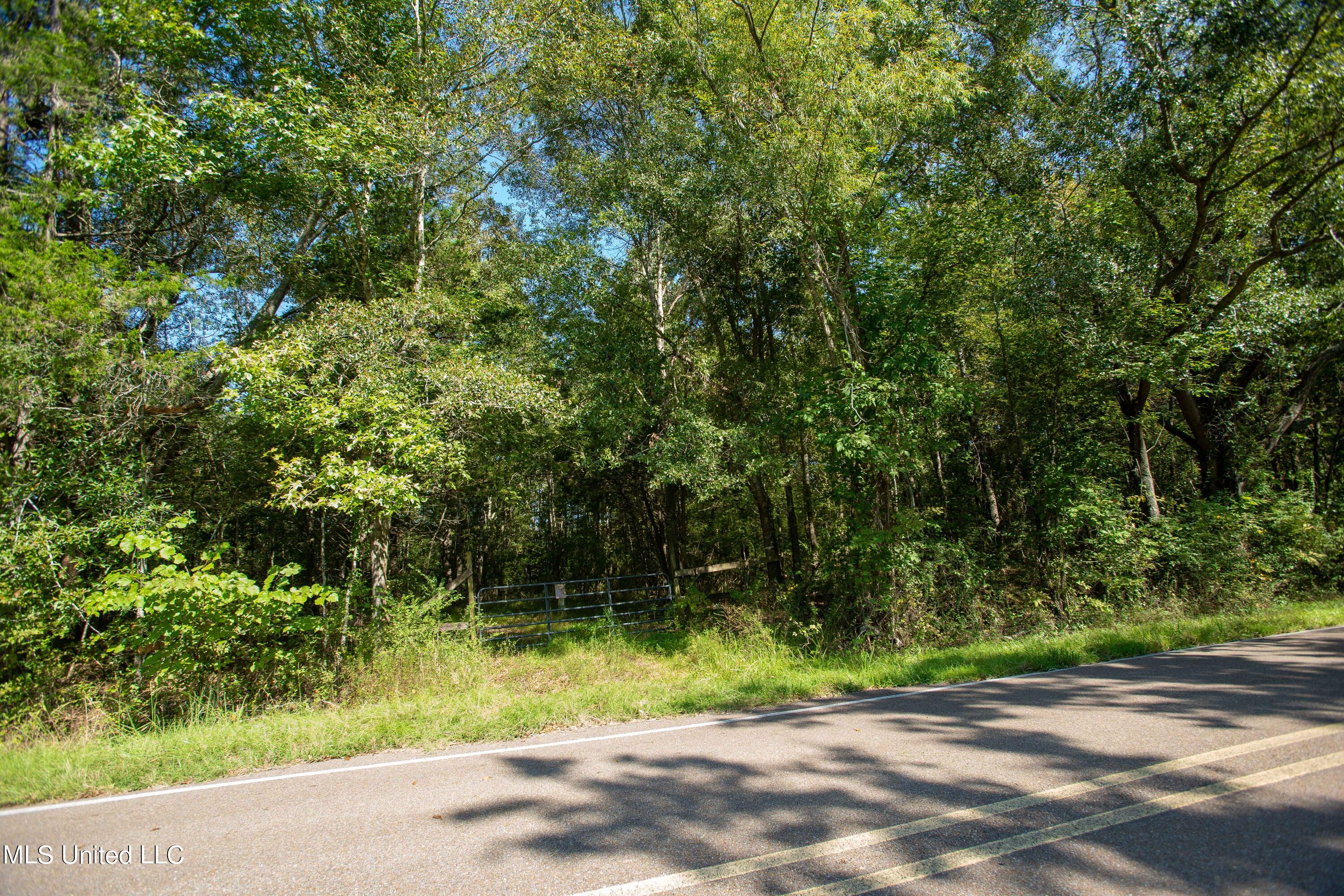 0 Ernie Martin Road Utica, MS 39175 - Photo 6 of 22 Ernie Martin Road