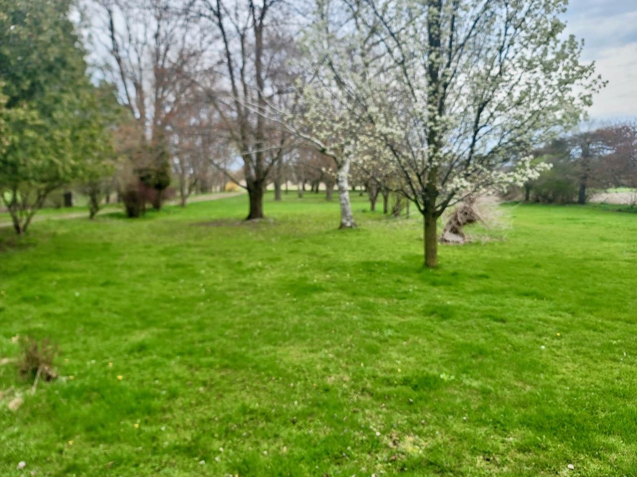 5638 Croswell Road Croswell, MI 48422 - Photo 4 of 4 50139645-98971a4f-4a36-4c7e-8885-40a00cb8f3ed.JPG