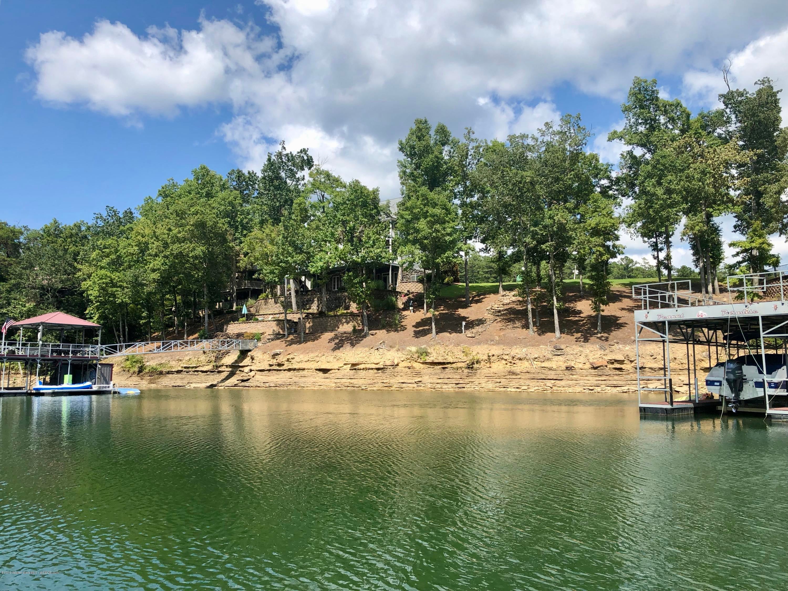 Lot 7 Co Road Arley, AL 35541 - Photo 3 of 7 Gallery Image 3
