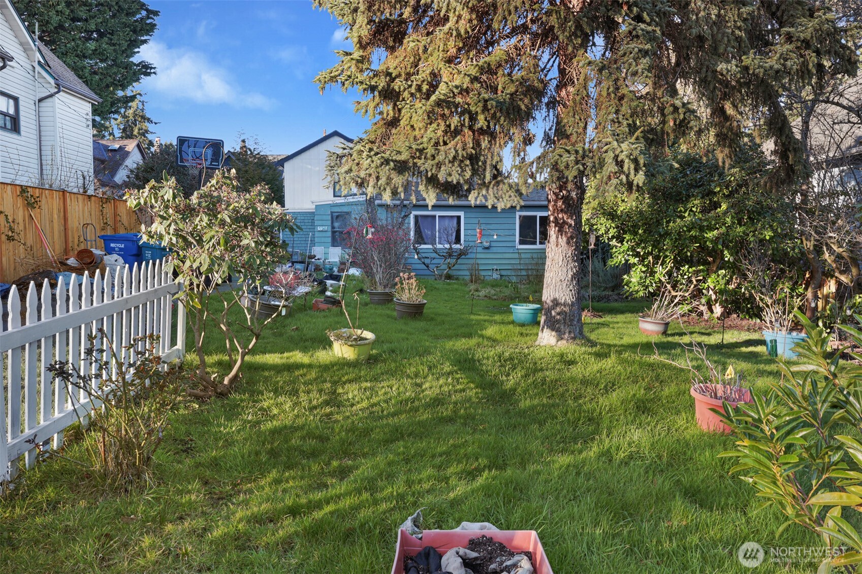 528 North 70th Street Seattle, WA 98103 - Photo 3 of 11 a backyard of a house with lots of green space