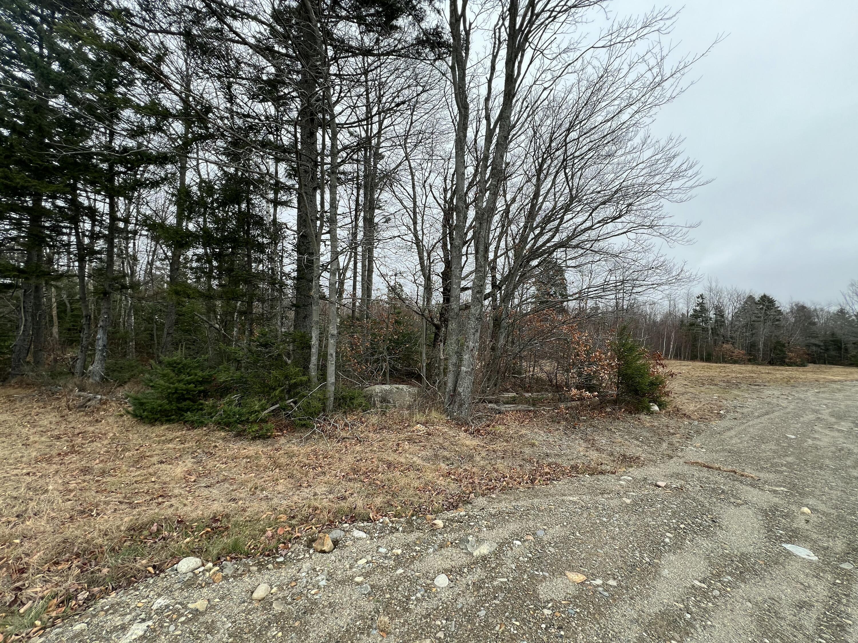 65-008 Airline Road Alexander, ME 04694 - Photo 5 of 7 IMG_5226