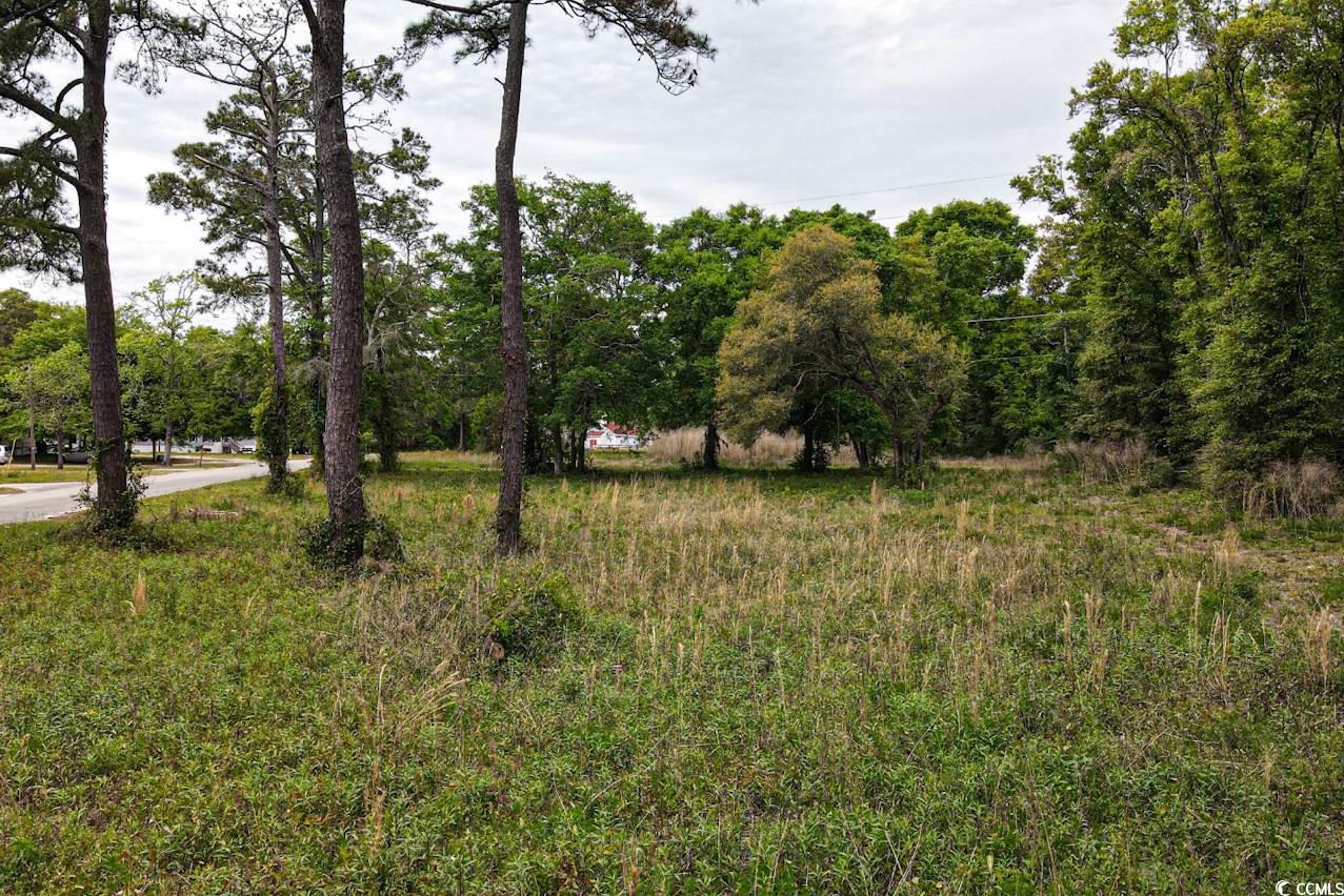 2 Little River Neck Road North Myrtle Beach, SC 29582 - Photo 5 of 12 Gallery Image 5