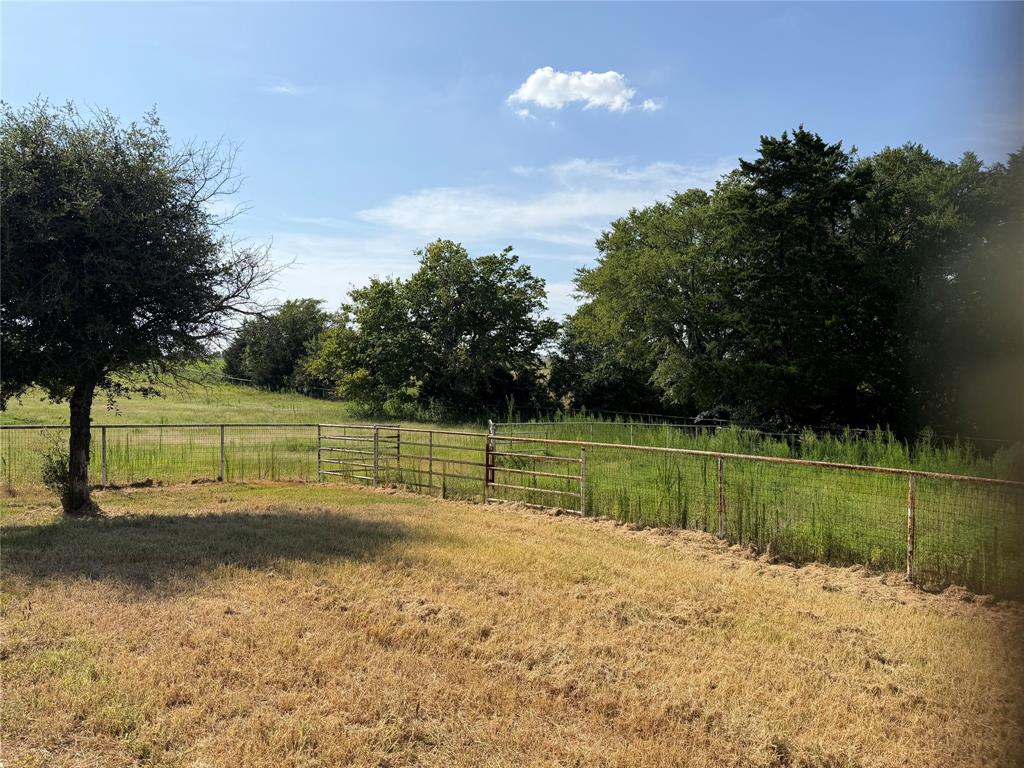 950 Sanders Road Whitesboro, TX 76273 - Photo 10 of 14 Heavy coastal grass in pastures - great for livestock!