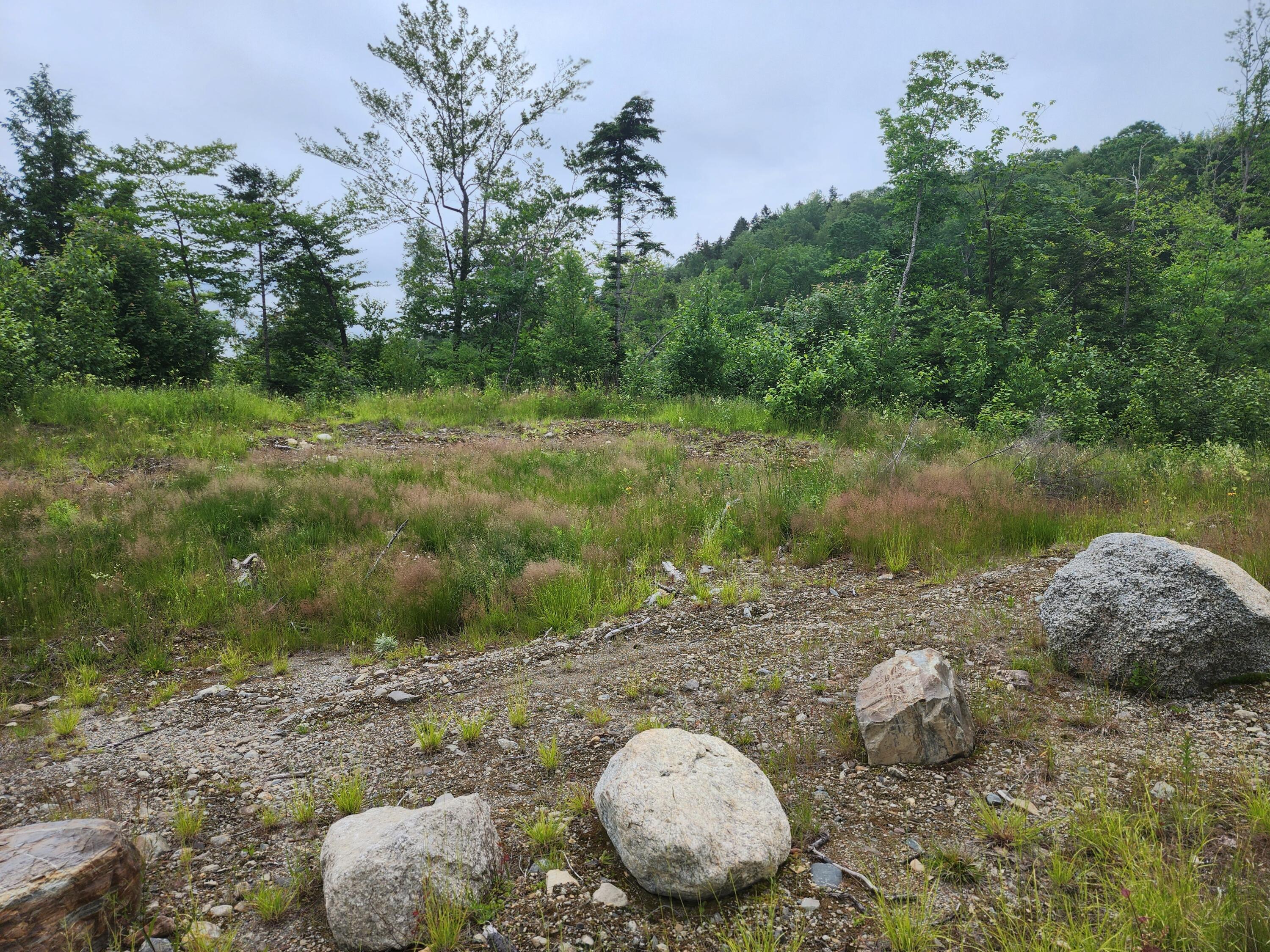 213 Moose Hl Road Ellsworth, ME 04605 - Photo 24 of 34 20250701_114222