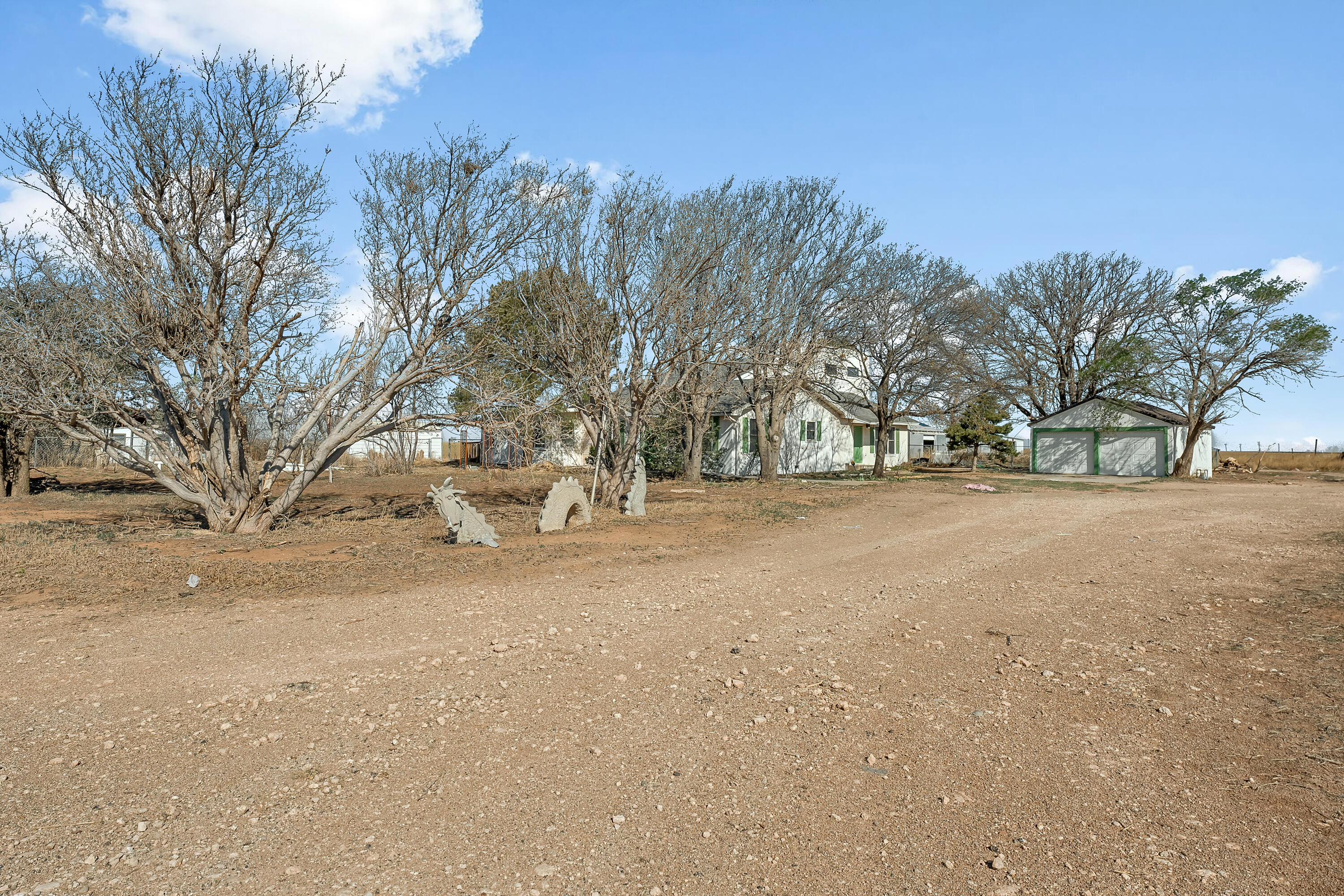 3051 Mason Road Shallowater, TX 79363 - Photo 5 of 40 DSC03898