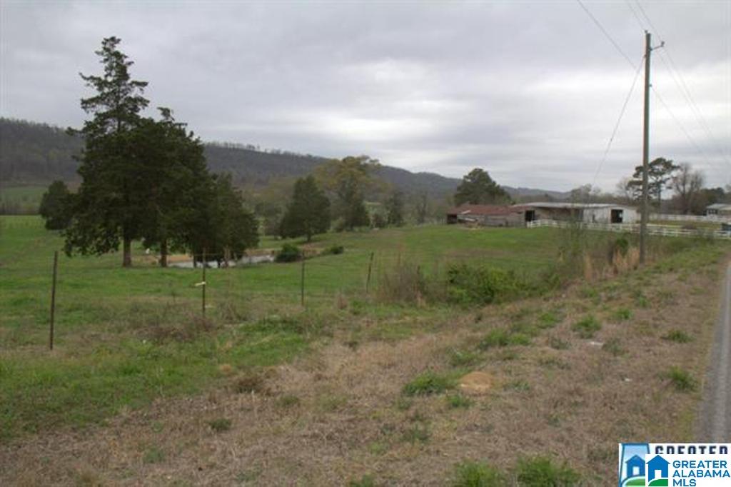 3054 Greensport Road, Unit 141 ACRES Ashville, AL 35953 - Photo 21 of 23