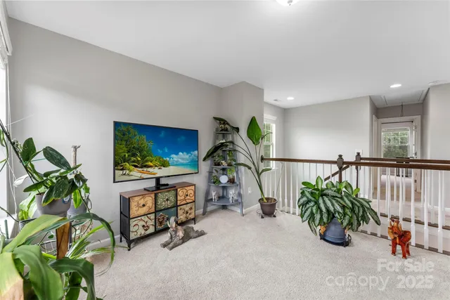a living room with furniture a potted plant and a rug