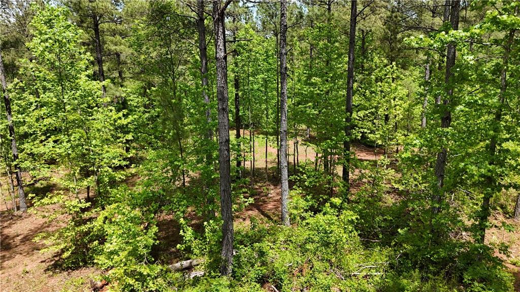 1 Wilson Road Temple, GA 30179 - Photo 87 of 88