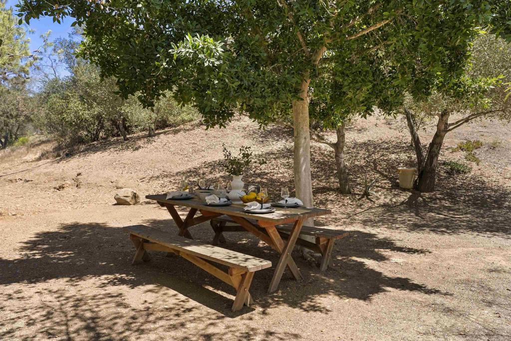 8964 Mt Israel Road Escondido, CA 92029 - Photo 34 of 41 Backyard