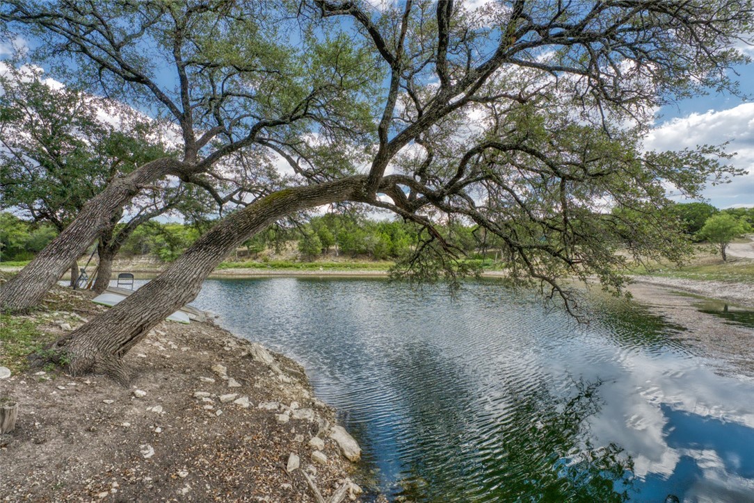 a view of lake with a tree