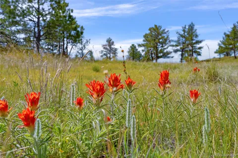 $375,000 | 77 County Road 77, Calhan, CO 80808