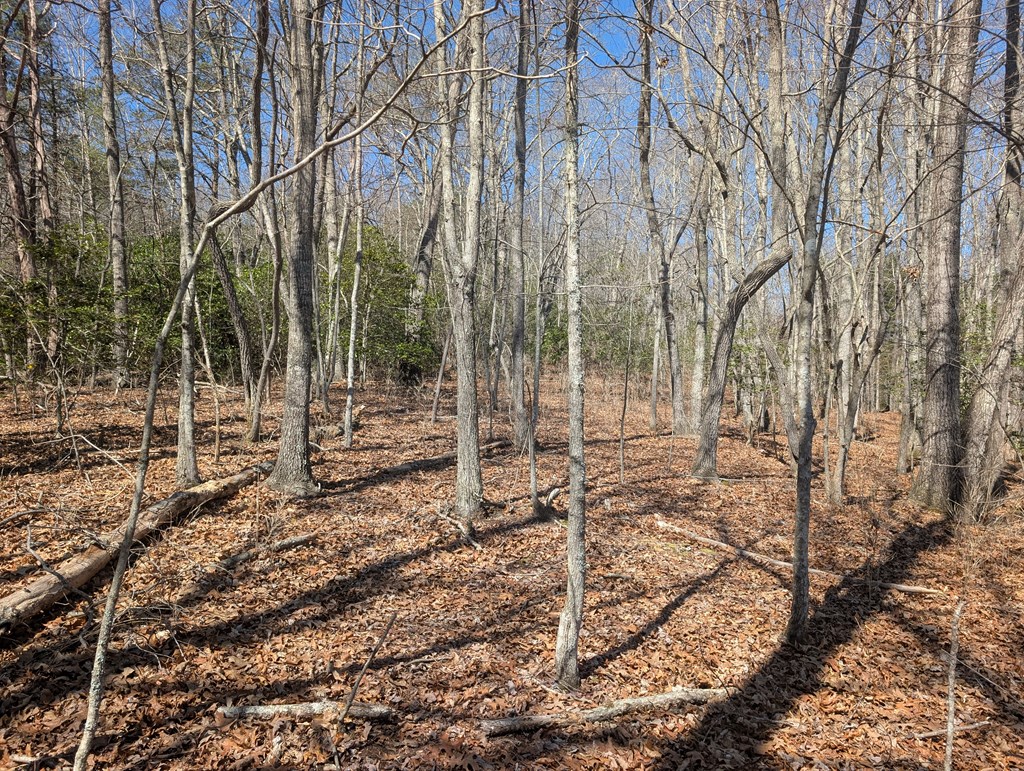 Lot 108 Smoke Rise Hayesville, NC 28904 - Photo 11 of 14