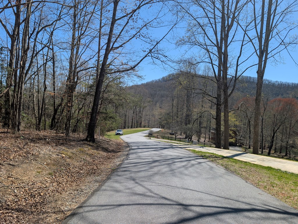 Lot 108 Smoke Rise Hayesville, NC 28904 - Photo 12 of 14