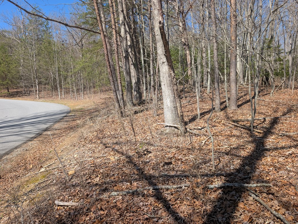 Lot 108 Smoke Rise Hayesville, NC 28904 - Photo 13 of 14