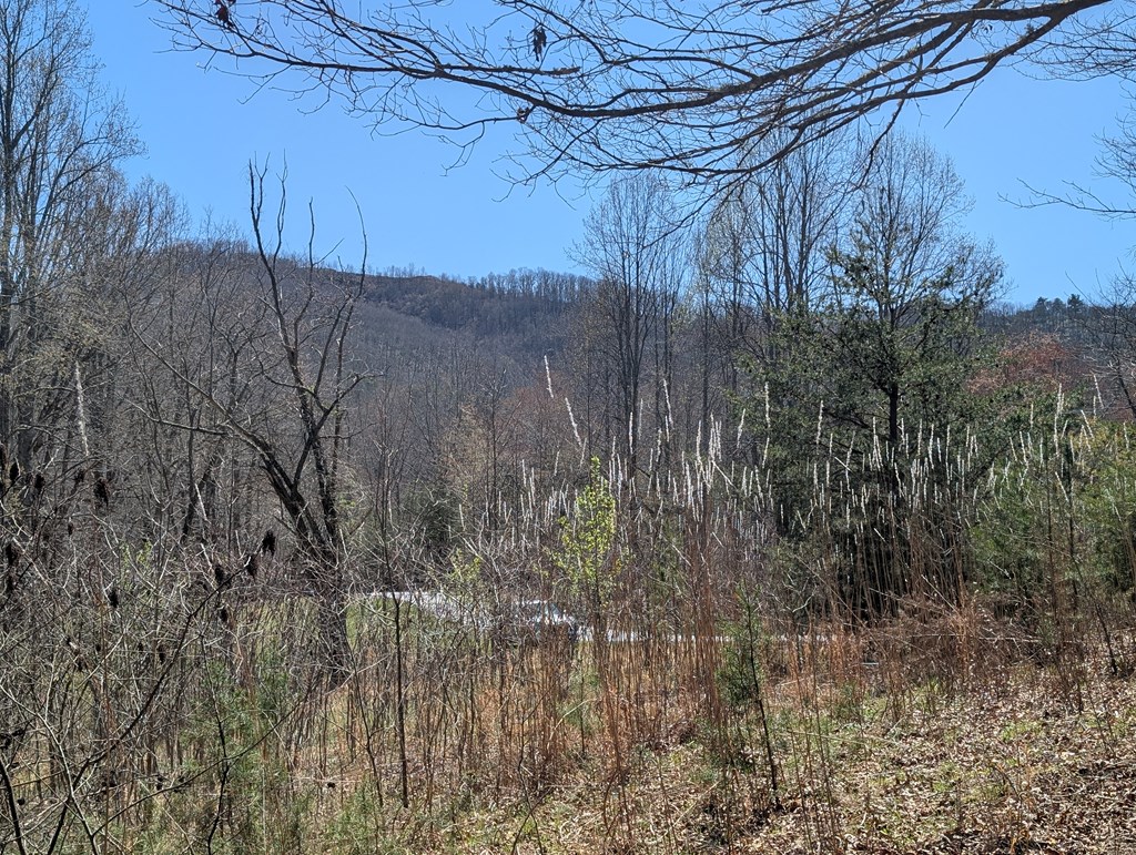 Lot 108 Smoke Rise Hayesville, NC 28904 - Photo 2 of 14