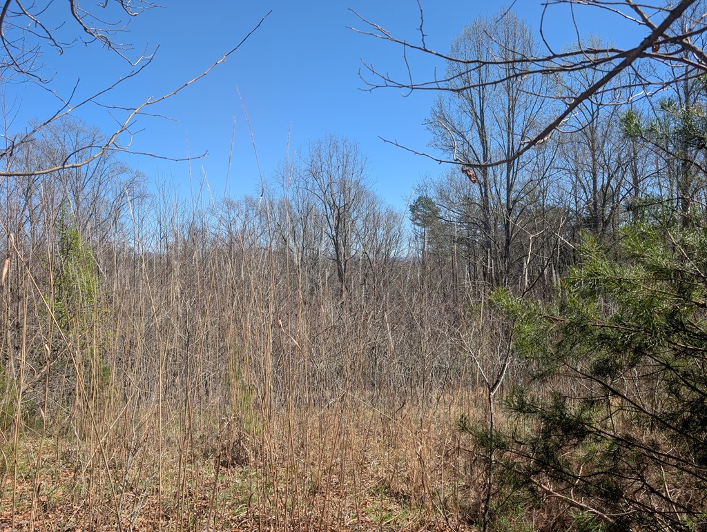 Lot 108 Smoke Rise Hayesville, NC 28904 - Photo 5 of 14