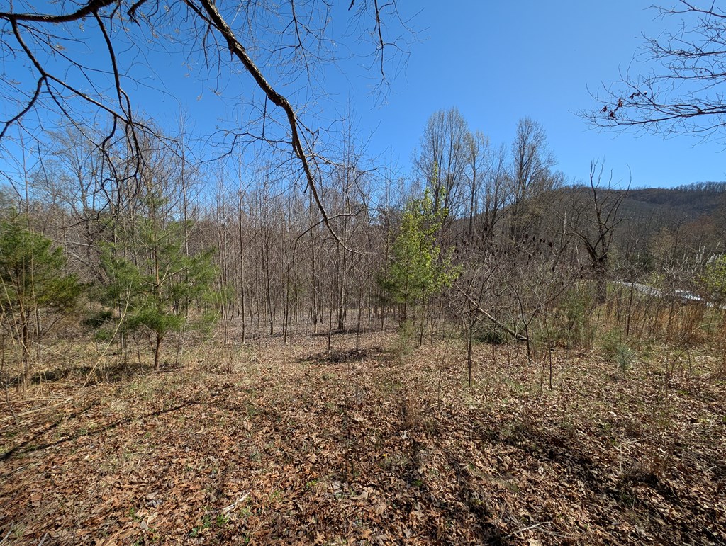 Lot 108 Smoke Rise Hayesville, NC 28904 - Photo 7 of 14