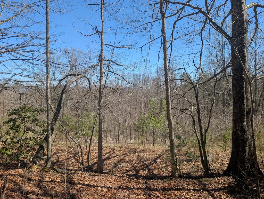 Lot 108 Smoke Rise Hayesville, NC 28904 - Photo 8 of 14