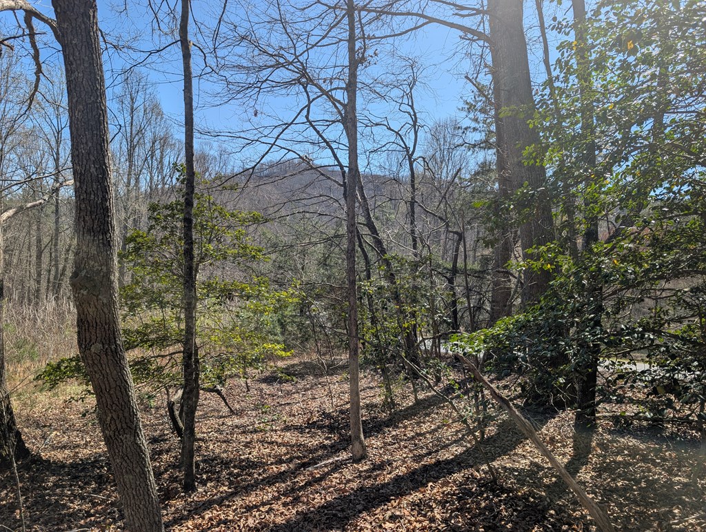 Lot 108 Smoke Rise Hayesville, NC 28904 - Photo 9 of 14