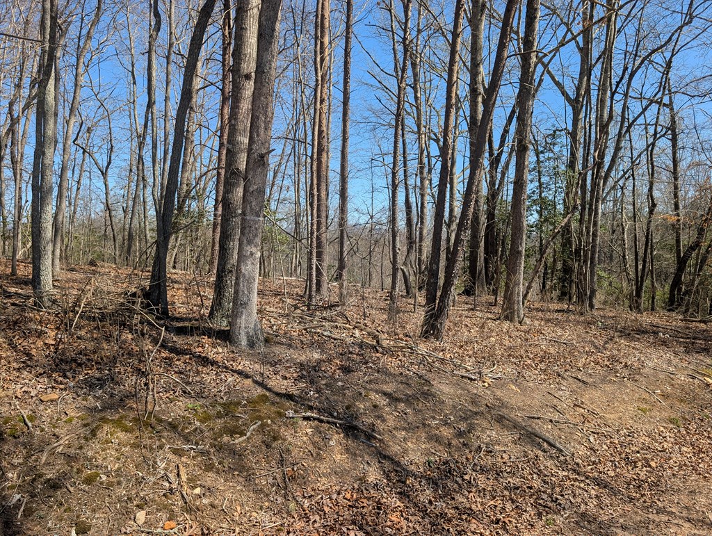 Lot 108 Smoke Rise Hayesville, NC 28904 - Photo 10 of 14