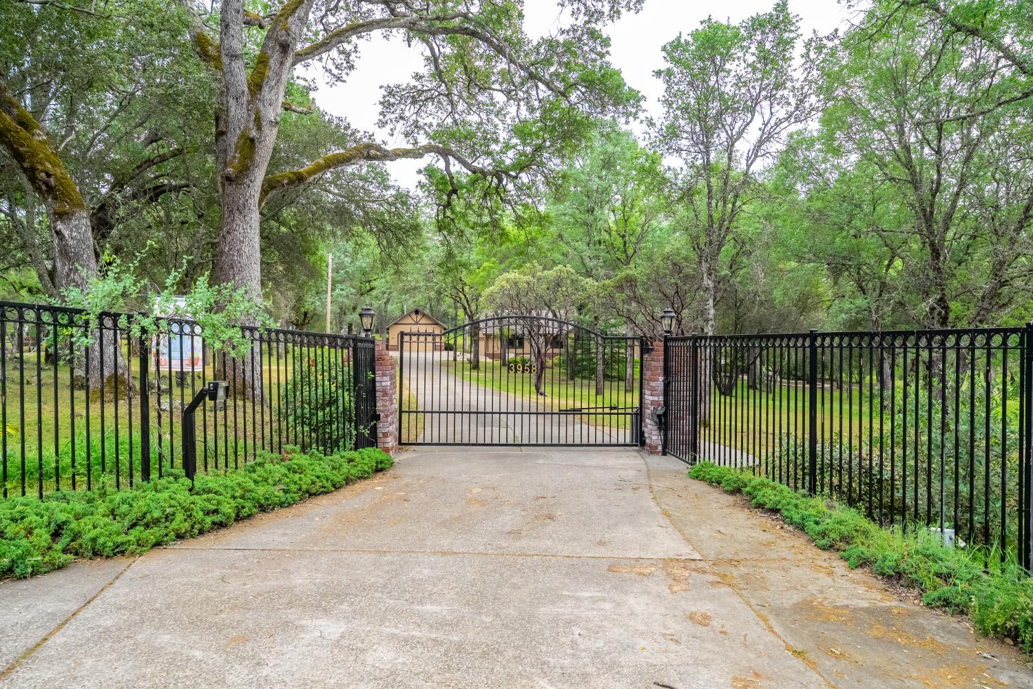 3958 Arabian Way Shingle Springs, CA 95682 - Photo 47 of 86