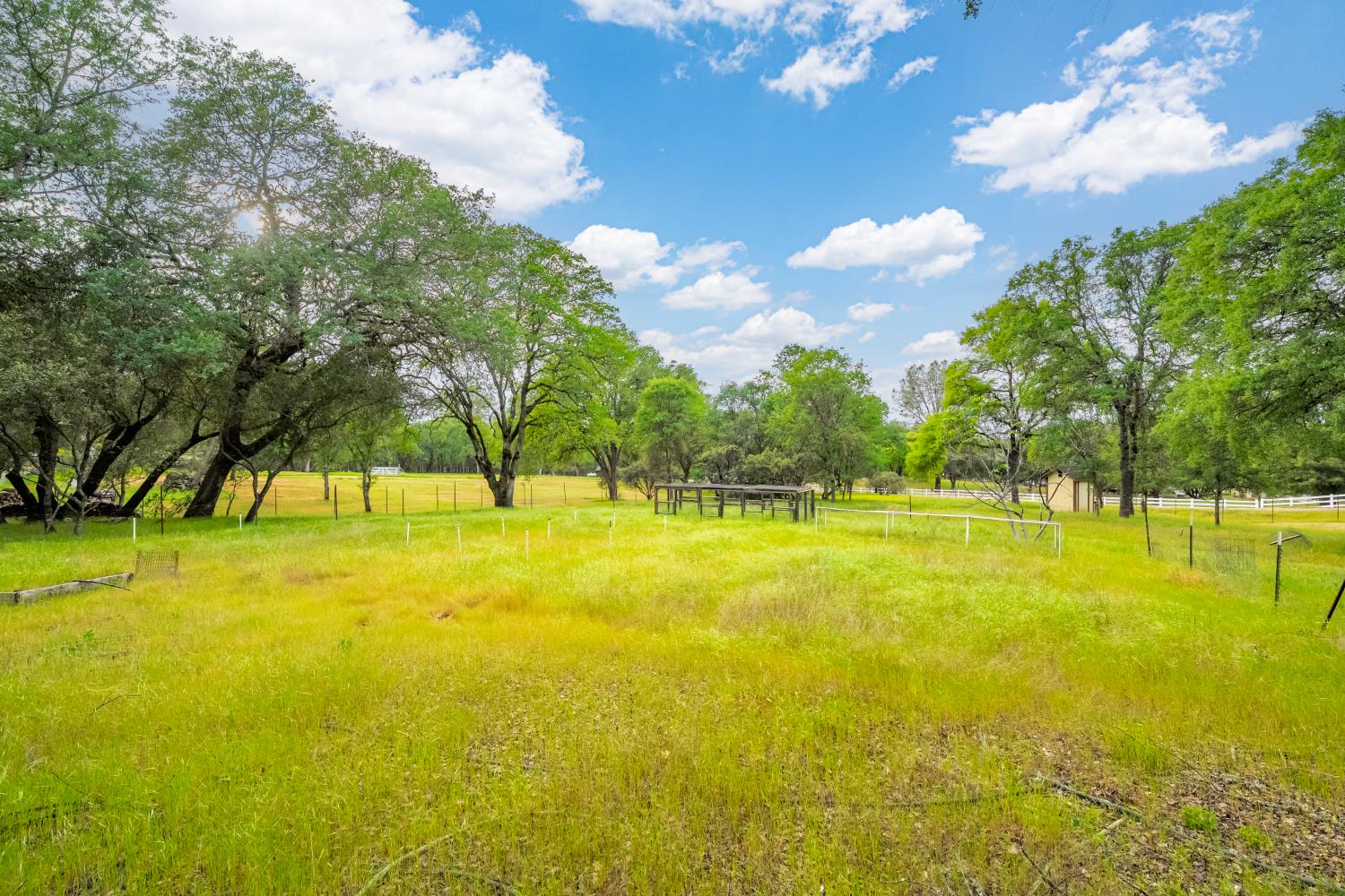 3958 Arabian Way Shingle Springs, CA 95682 - Photo 56 of 86