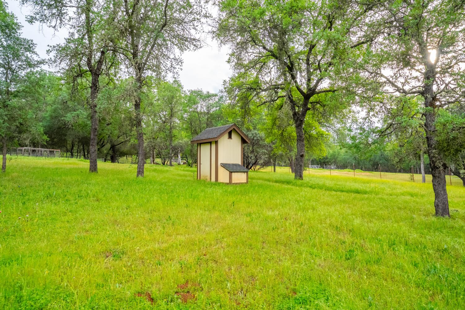 3958 Arabian Way Shingle Springs, CA 95682 - Photo 58 of 86