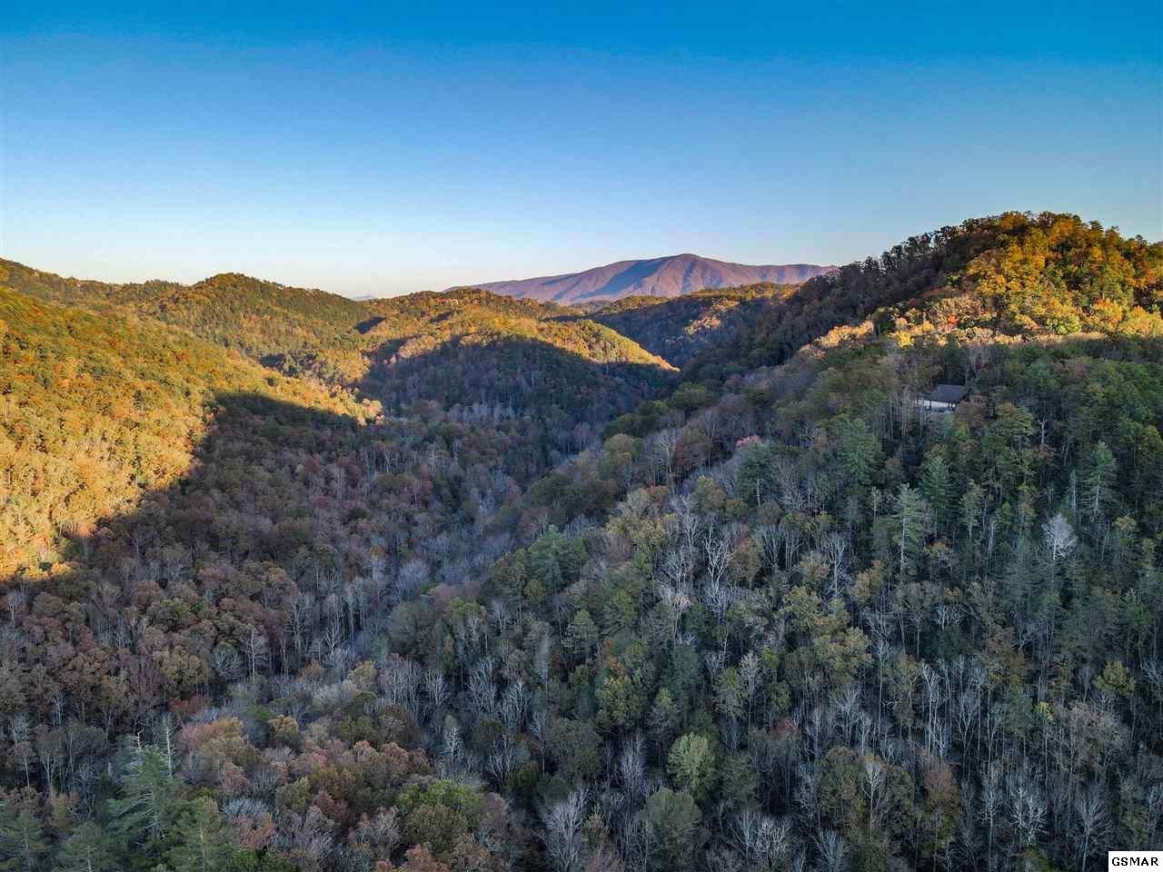 65 Whetstone Road Sevierville, TN 37862 - Photo 4 of 13
