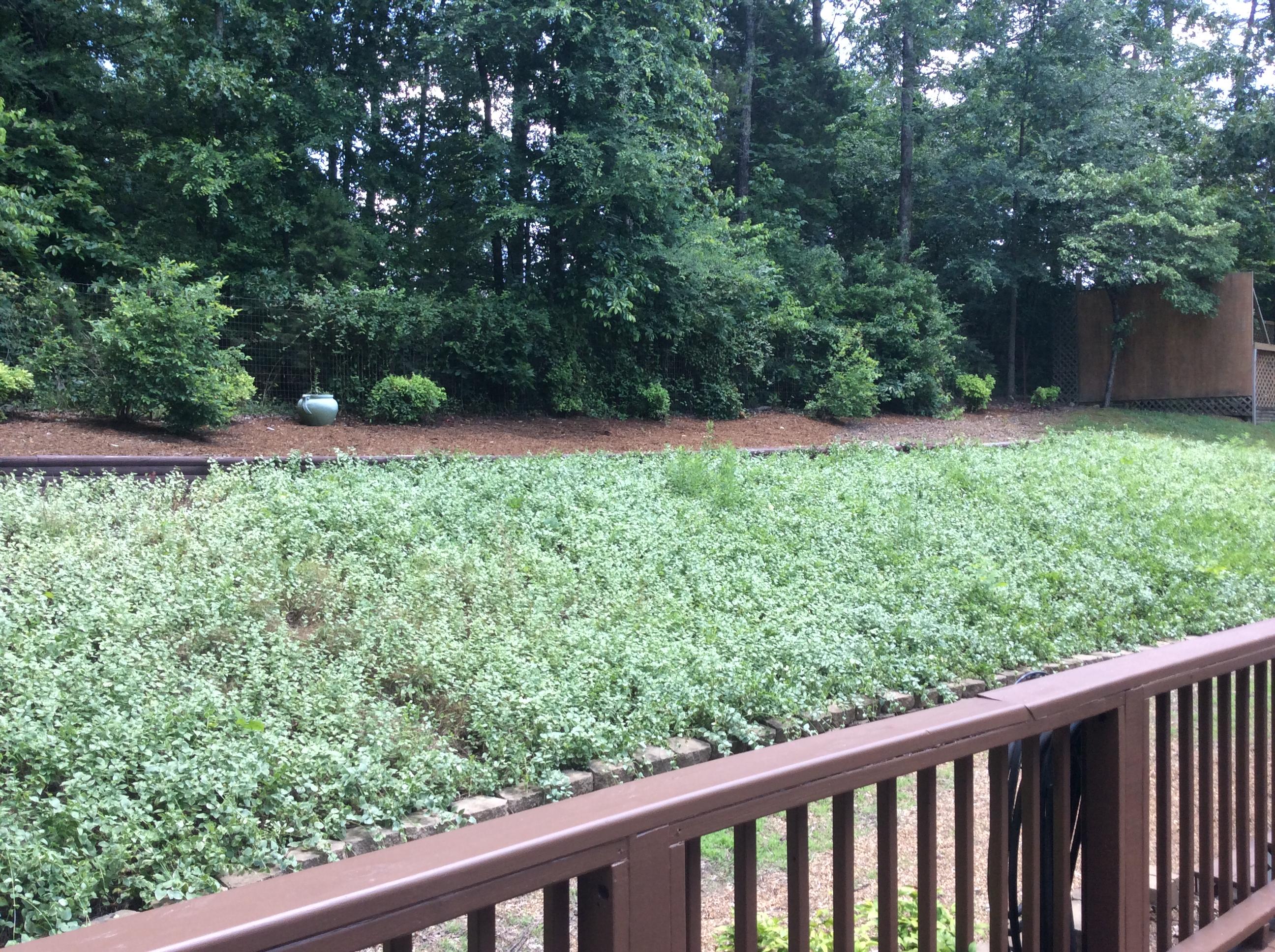 12811 Thatch Road, Unit 2 Harrison, TN 37341 - Photo 40 of 44 Back Deck