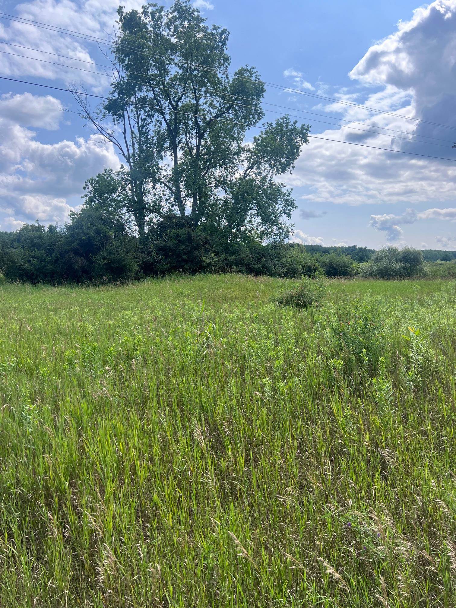 Tbd West Pickard Road Remus, MI 49340 - Photo 6 of 15